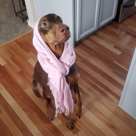 Meet your Posher, Liana - Picture 2 of 2